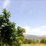 Apart-hotel Michalis Place 3*