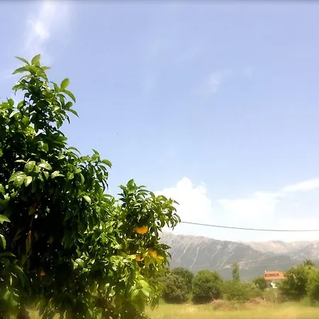 Apartmanhotel Michalis Place 3*